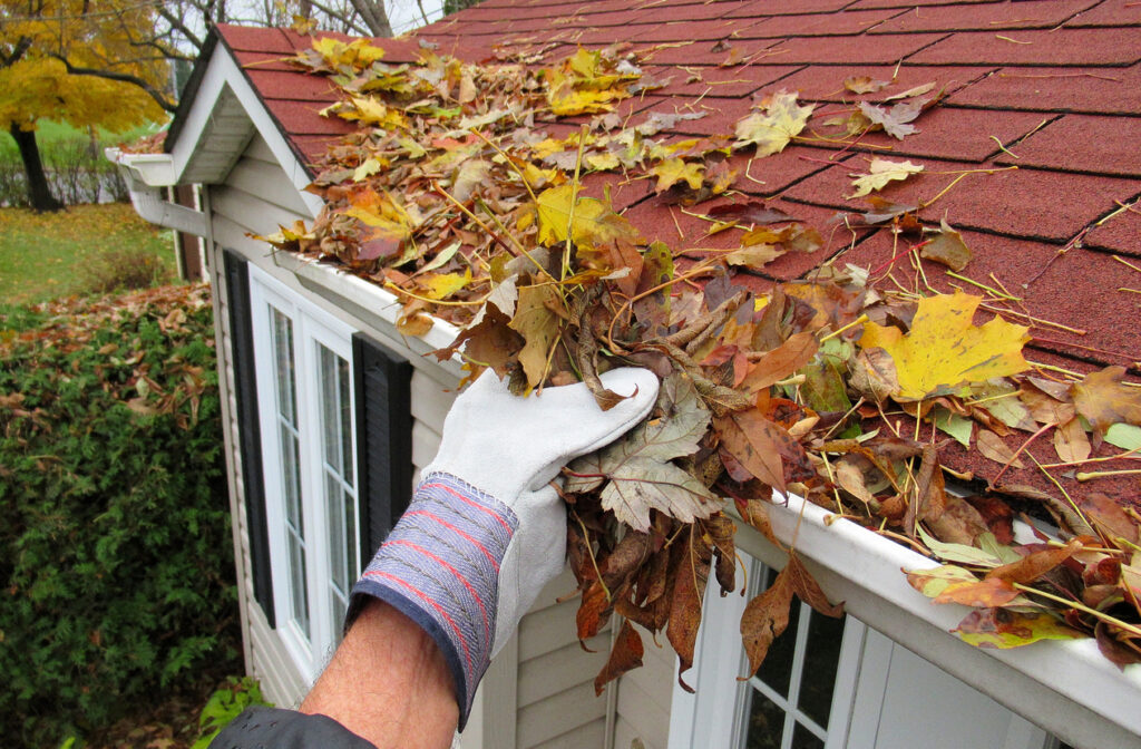 Cleaning Leaves from Rain Gutter