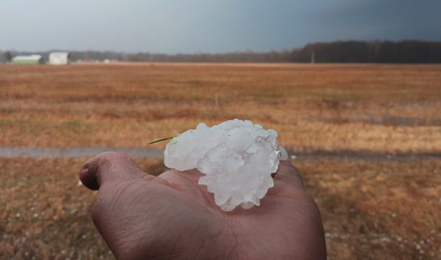 Golf Ball Sized Hail Wreaks Havoc On Middleville Roofs - West Michigan ...
