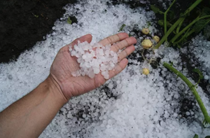 Pellet size Hail