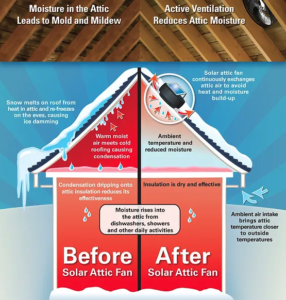 Roof Ventilation Graphic