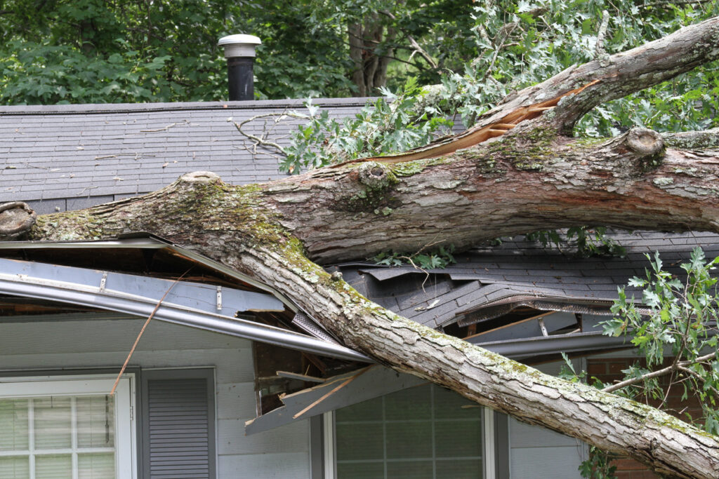 Wind damaged gutter