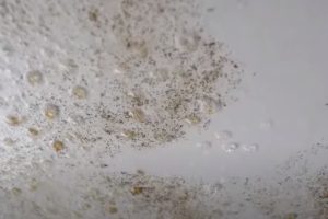 Water Stains in Grand Rapids
